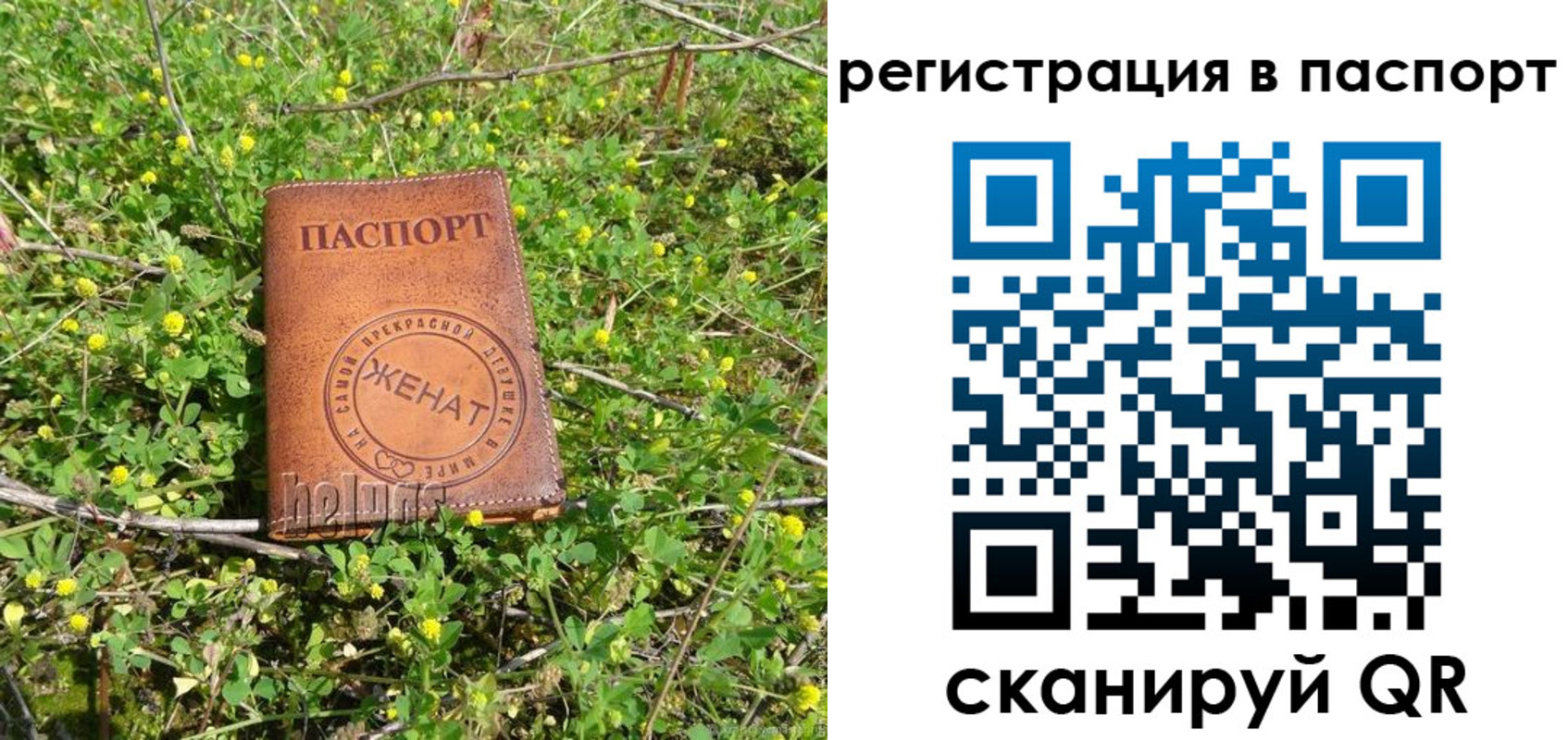 прописка законно в Костомукше